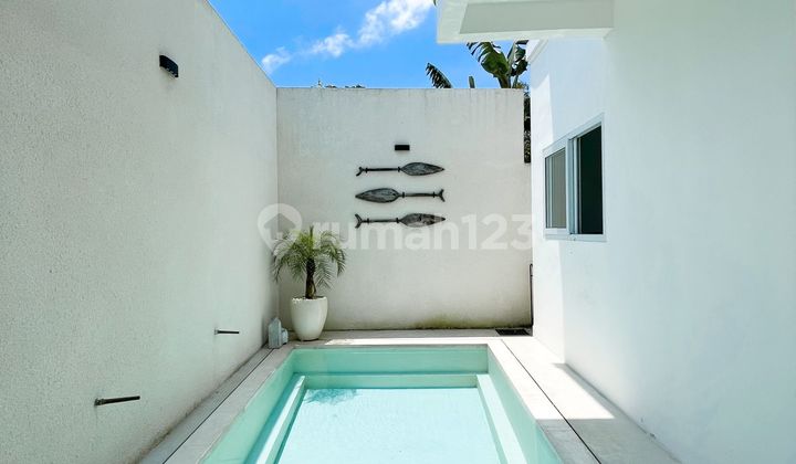 For Sale Villa Located in Kerobokan, North Kuta, Badung