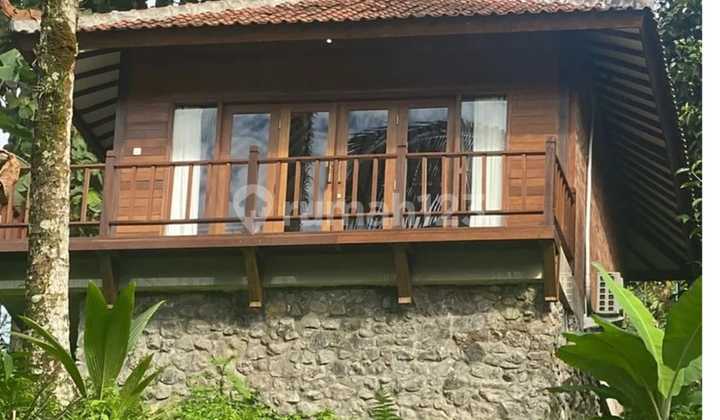 For Sale Villa Location Kayu Wanagiri Selemadeg Tabanan