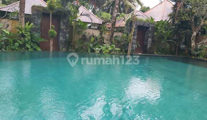 For Sale Villa Location Payangan Ubud Gianyar