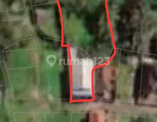 Di Jual Tanah Lokasi Bedulu Blahbatuhgianyar Bali 