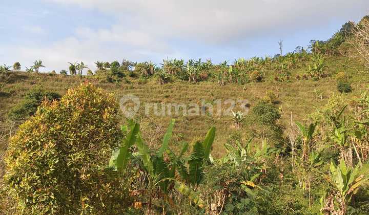 Land for Sale with Sea and Valley View, Gobleg Banjar Buleleng Bali