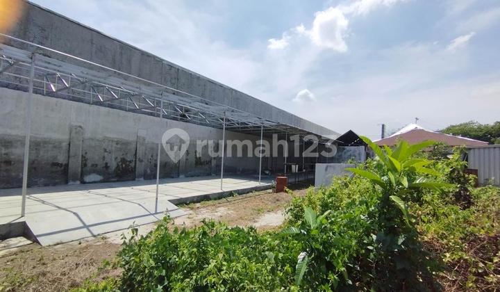 BU, Nego Sampai Deal, Tanah Luas di Singosari Malang BU, Nego Sampai Deal, Tanah Luas di Singosari Malang