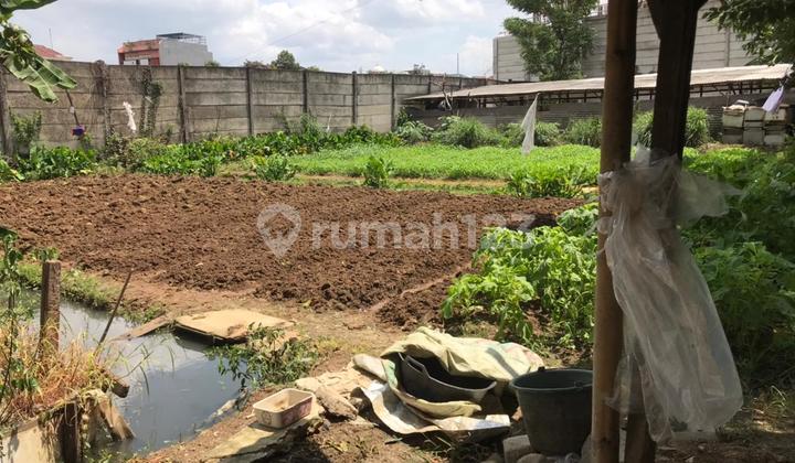 Tanah Bagus sudah SHM dan Strategis di Duri Kosambi Jakarta Barat Tanah Bagus sudah SHM dan Strategis di Duri Kosambi Jakarta Barat