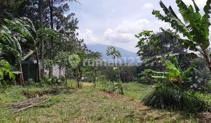 Land for Sale in Cijeruk, Bogor