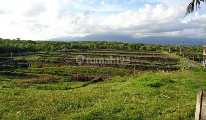 2 Bidang Tanah Luas Desa Perancak Bali 2