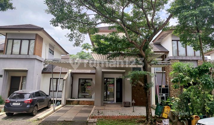 Rumah 2 Lantai Tidak Banjir di Avani Bsd City Tangerang Rumah 2 Lantai Tidak Banjir di Avani Bsd City Tangerang