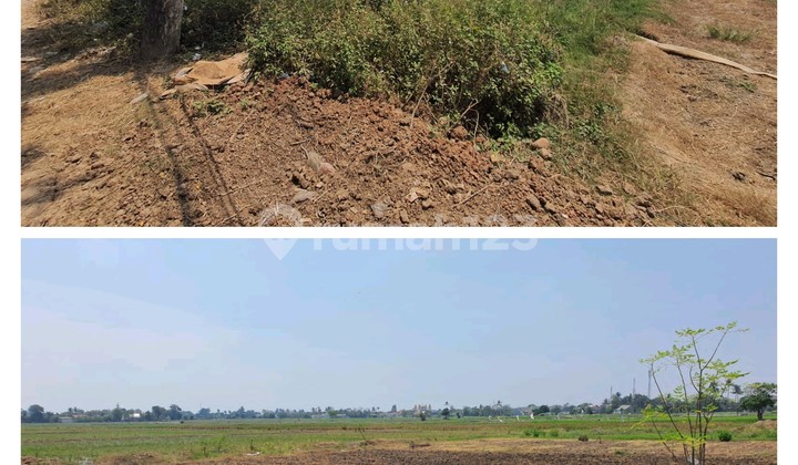 Dijual Cepat Tanah Perm2 Komersial Pinggir Jalan Utama Siap Bangun Surat Shm _ Babelan Kota 