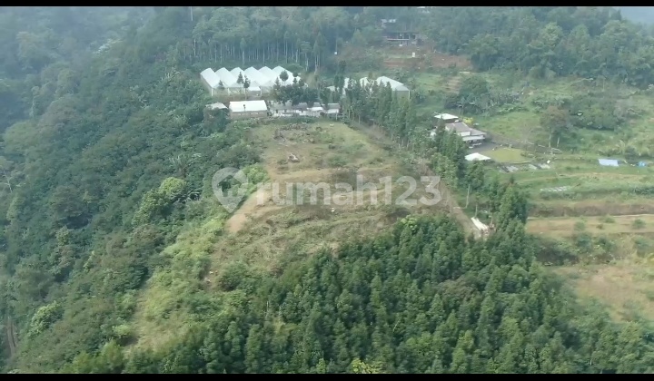 Lahan Padat Di Mega Mendung Bogor Siap Bangun Hanya 3,95m Lahan Padat Di Mega Mendung Bogor Siap Bangun Hanya 3,95m