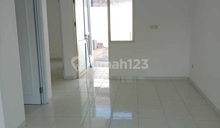 For Quick Sale Suvarna Sutera 6x17 2