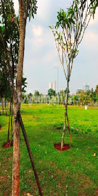 Harga Nett (Bottom Price)