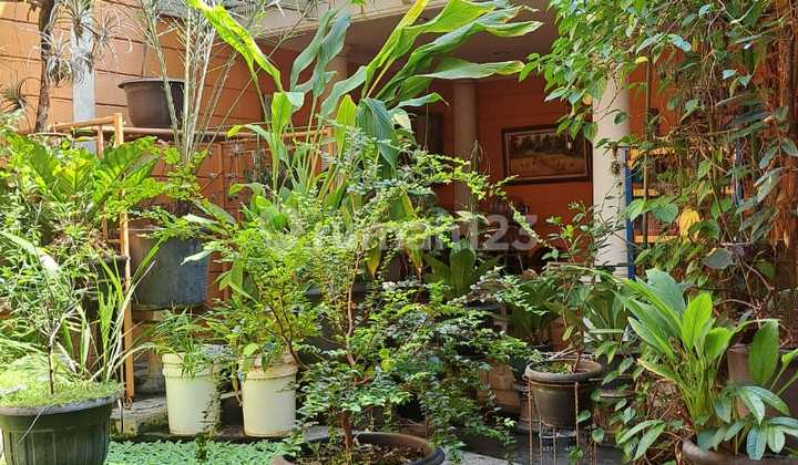 Dekat Sekolah Mentari Dekat Sekolah Mentari