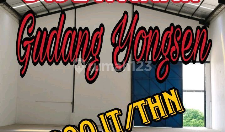 Wilson For Rent Yongsen Warehouse Ready to Use Wilson For Rent Yongsen Warehouse Ready to Use