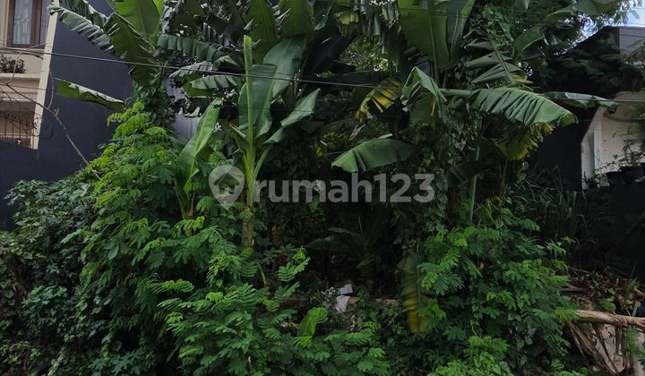 Wilson Tanah Murah Di Meruya Dekat Puri Indah Wilson Tanah Murah Di Meruya Dekat Puri Indah