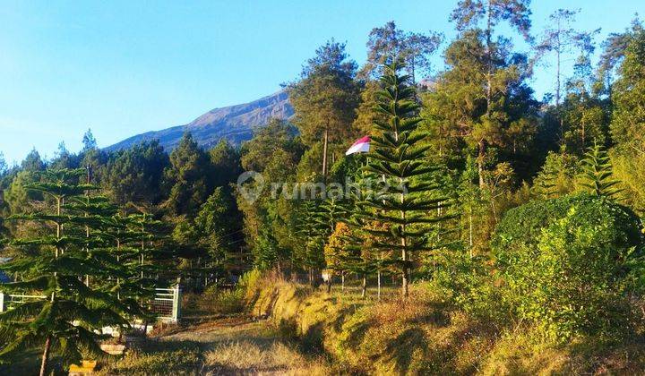 Tanah Cocok Untuk Wisata Strategis Di Batur Getasan Kab Semarang 1