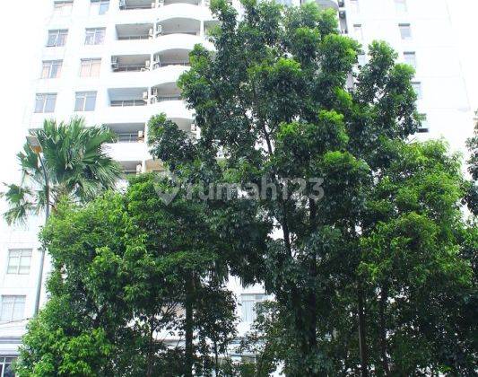 Unit Penthouse Furnish di Bawah Njop Apartemen Permata Eksekutif 34