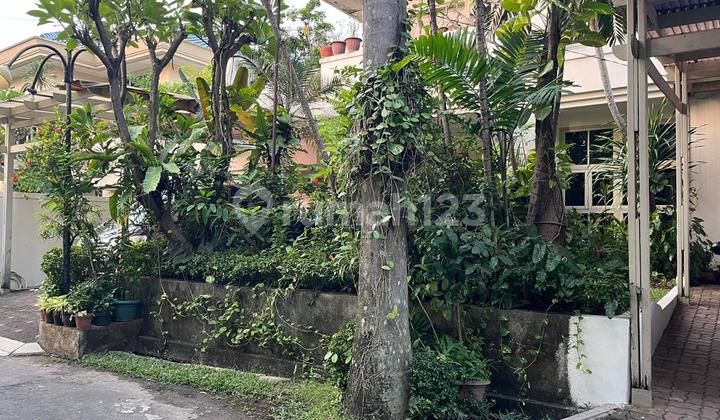 Rumah Siap Huni Lingkungan Asri Komplek Ragunan Pasar Minggu