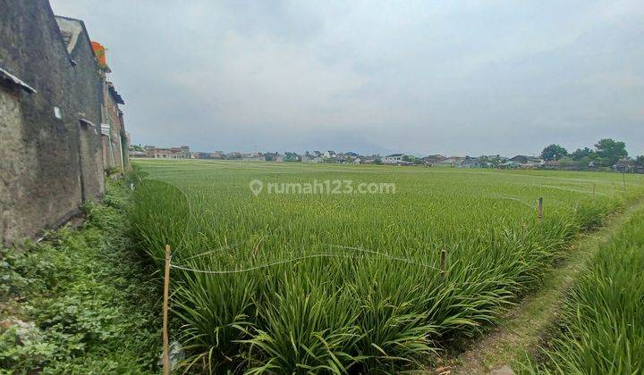 Tanah sawah dalam komplek Riung Bandung 2