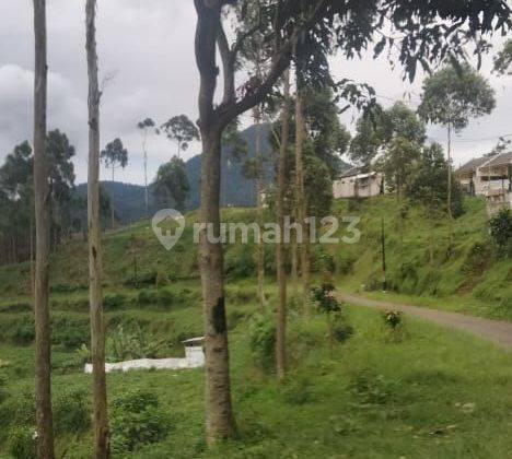 Kebun Aktif! 300Meter Pusat Kota Pangakengan 1