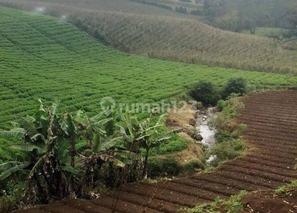 Kebun Aktif! 300Meter Pusat Kota Pangakengan 2