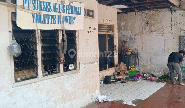 Rumah Tua Petojo Utara Jakarta Pusat, Hitung Tanah Saja 1