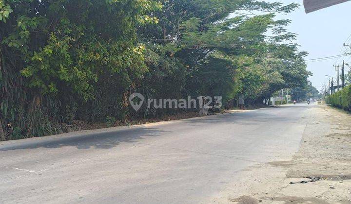 Dijual Tanah Siap Bangun SHM di pinggir jalan Gunung Sindur  1