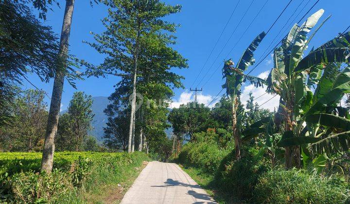 Tanah kosong view kebun teh dan gunung udara dingin Tugu Cisarua 1