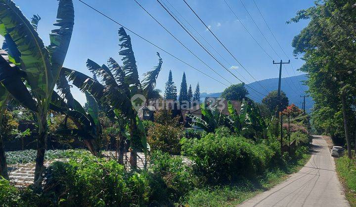 Tanah kosong view kebun teh dan gunung udara dingin Tugu Cisarua 2