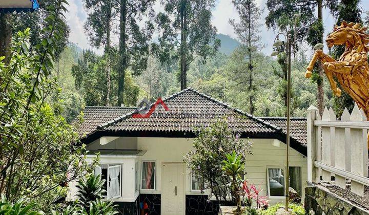 Villa Siap Huni Furnished Udara Dingin View Gunung Di Megamendung 2