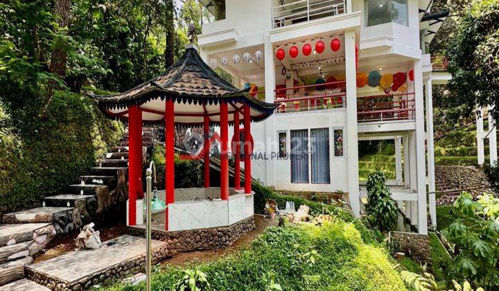 Villa Konsep Japanese  4 Lantai Furnished Bagus Megamendung Bogor 1