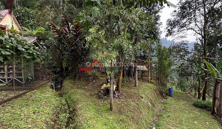 Tanah Kosong Halaman Luas View Gunung Dan Udara Dingin Cilember 1