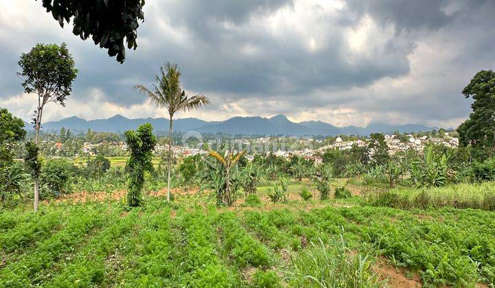 Tanah Kosong View Gunung Tenang Dan Akses Jalan Lebar Megamendung 1