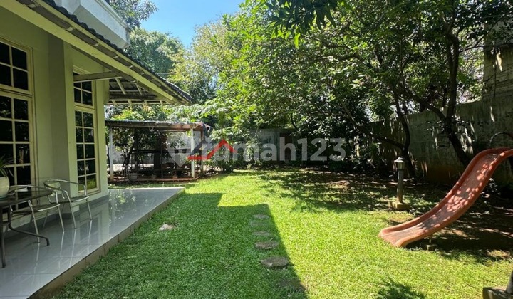 Rumah Lama Halaman Luas Harga Di Bawah Njop Di Pancoran Kalibata