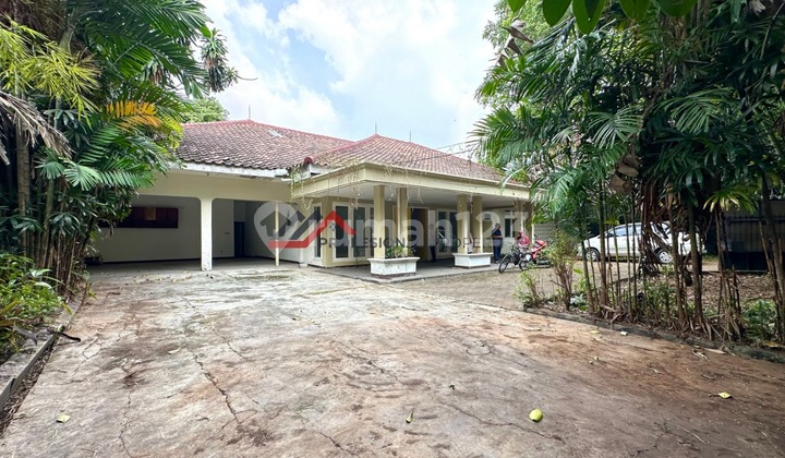 Rumah Lama Shm Halaman Luas Dekat Kemang Raya Harga Menarik Di Kemang Jaksel