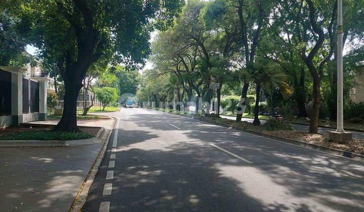 Rumah Lama Halaman Luas Harga Njop Dan Nego Di Pondok Indah Rumah