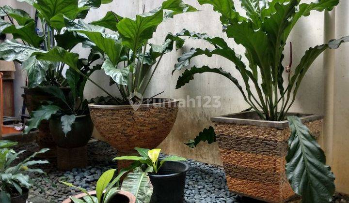 Rumah cantik,siap huni di camar bintaro  3 2