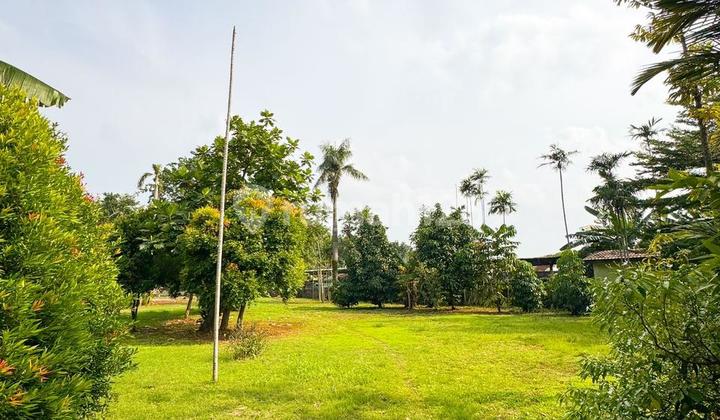 Comfortable House With Spacious Land 2205M2 in Rempoa Bintaro. 2