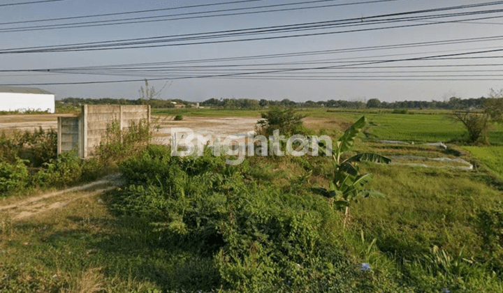 Tanah Industri Purwodadi Jawa Tengah 1