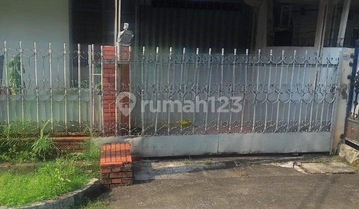 Rumah Kayu Putih 200M2 Hadap Selatan,1 Lantai,Strategis,Kode Ds