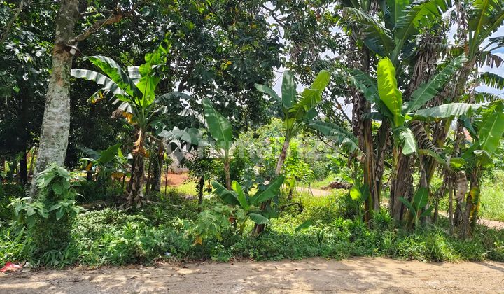 Kavling Siap Bangun Cocok untuk Perumahan Area Parung Bogor