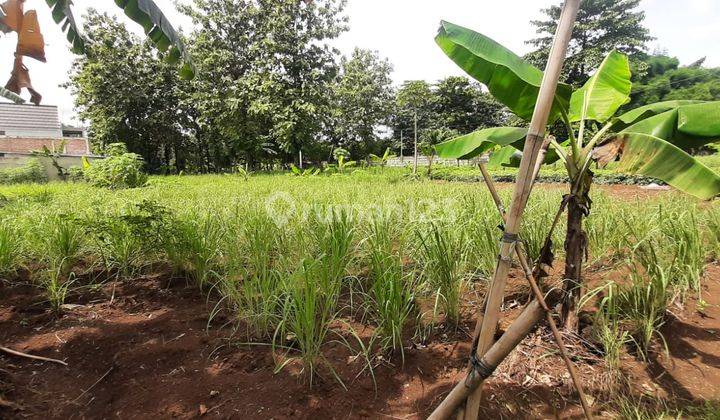 Tanah Bagus Diarea Cimanggis Depok Akses Toll Jagorawi & Cibubur 2