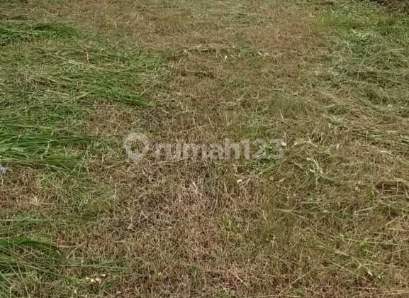 Kavling Siap Bangun Near Gate Tol Jagorawi Area Ciracas Jak-Tim Kavling Siap Bangun Near Gate Tol Jagorawi Area Ciracas Jak-Tim