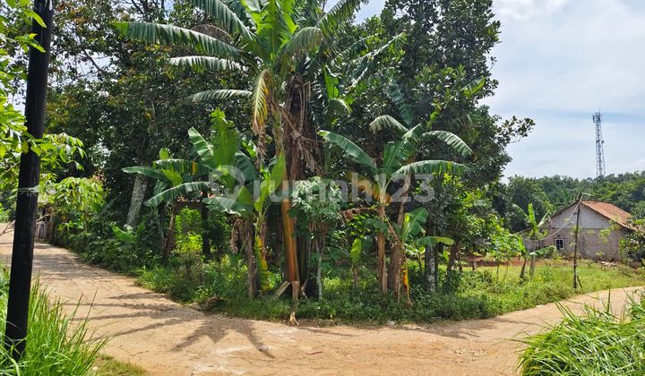 Kavling Siap Bangun Cocok untuk Perumahan di Parung Bogor Kavling Siap Bangun Cocok untuk Perumahan di Parung Bogor