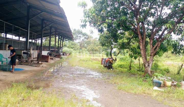 Murah...Murah...Pergudangan Industri Diarea Curug Tangerang