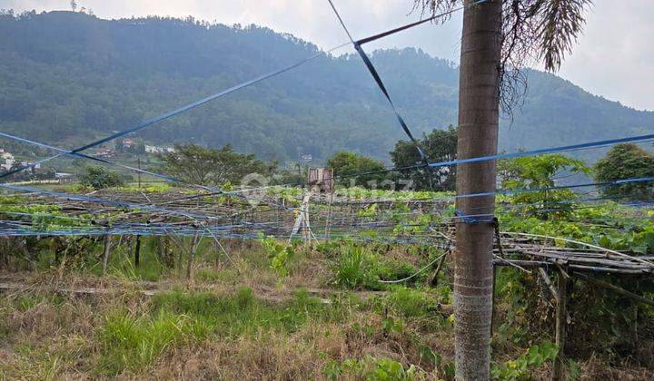 Tanah Cocok Untuk Villa Atau Hotel di Songgoriti, Batu Malang Jawa Timur 2