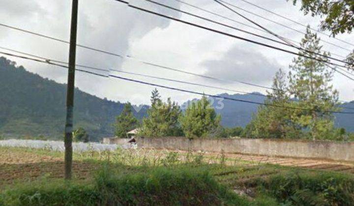 Dijual Murah Tanah Jl.Raya Puncak Ciherang Cipanas CIanjur Di Sisi Kiri Jalan Raya Cipanas 2