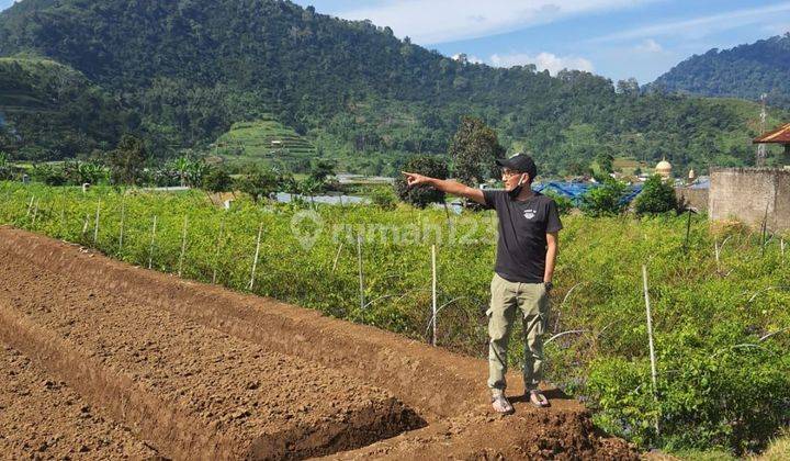 Dijual Murah Tanah Jl.Raya Puncak Ciherang Cipanas CIanjur Di Sisi Kiri Jalan Raya Cipanas 1