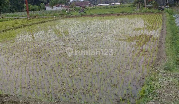 Dijual Tanah Luas 264 Mtr Cocok Untuk Hunian Dan Usaha Di Manisrenggo Klaten Jawa Tengah  2