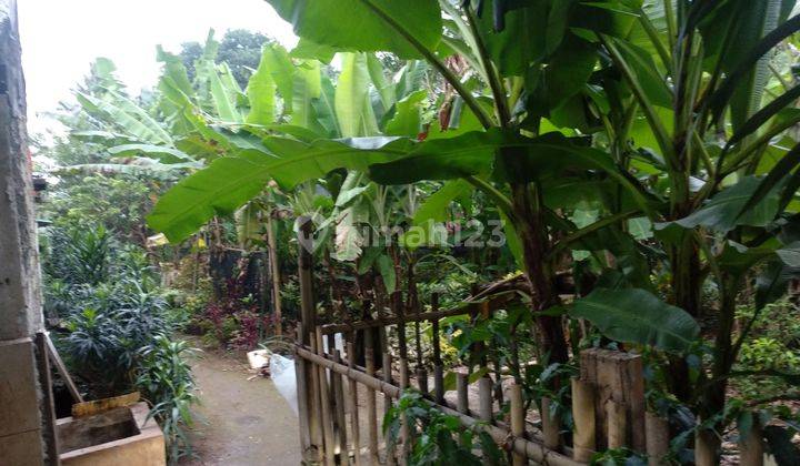 Tanah Kebun Cocok Buat Cluster Dekat Akses Tol  6