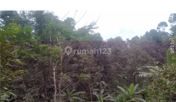 Tanah Shm, Dekat Akses Tol, Dekat Kawasan Industri Cilembar  2