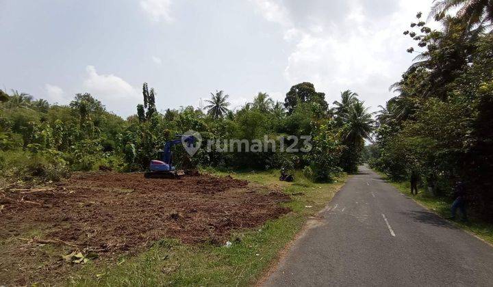 Jual Tanah Jogja Dekat Kota Wates, Tepi Aspal, SHM Pecah 1